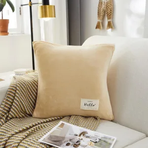 Housse De Coussin En Velours Beige